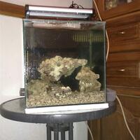 skimmer-untuk-aquarium-ukuran-35