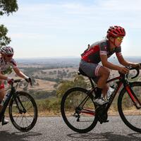 perjalanan-shannon-malseed-temukan-jati-diri