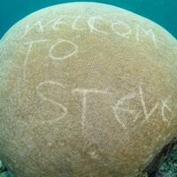 duh-koral-di-raja-ampat-dikotori-aksi-coretan-orang-tak-bertanggung-jawab