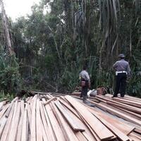 tim-temukam-kayu-olahan-di-hutan-marga-satwa-kerumutan
