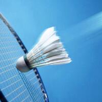 32-tim-akan-berlaga-di-sudirman-cup-2017