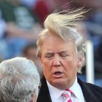 terlihat-lebat-dan-pirang-rambut-donald-trump-sebenarnya-botak