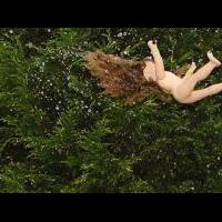 bocah-dua-tahun-tertimpa-dahan-pohon-kelapa-meninggal-sang-ayah-kecewa-operasi-batal