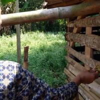 sepuluh-dari-44-penderita-gangguan-jiwa-di-kecamatan-purwadadi-dikurung