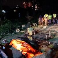 pohon-besar-yang-menimpa-dua-orang-tumbang-meski-tak-ada-hujan-dan-angin-kencang