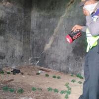 mayat-perempuan-tanpa-celana-terikat-di-bekas-gudang-petasan