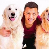 ini-kisah-alexis-sanchez-yang-sering-curhat-ke-anjing