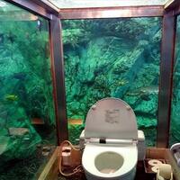toilet-di-sebuah-kafe-jepang-dikelilingi-akuarium