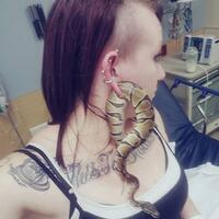 foto-ular-tersangkut-di-lubang-tindik-kisah-di-baliknya-bikin-merinding