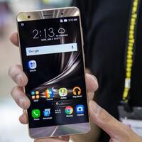 respons-asus-seputar-pasar-indonesia-dibanjiri-ponsel-china