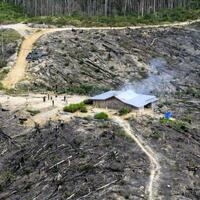 kapolda-ancam-perusahaan-buka-lahan-di-taman-nasional-tesso-nilo