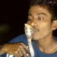 cium-ular-kobra-seorang-remaja-tewas-dipagut