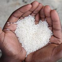 dinilai-tak-efektif-stabilkan-harga-pangan-peran-bulog-dipertanyakan