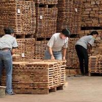 pemerintah-berharap-ada-evaluasi-soal-aturan-sertifikasi-hasil-hutan-1994