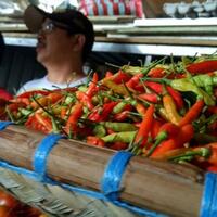pedagang-harga-cabai-masih-tetap-tinggi-di-kisaran-rp-100-per-kg