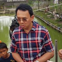 balik-lagi-jadi-gubernur-ahok-bakal-cek-rapor-pejabat-pemprov-dki