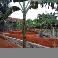mgi-farm---belajar-dan-investasi-agribisnis-dan-perikanan