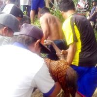 jenazah-nenek-rahma-mengapung-di-sungai-batanghari