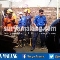 dua-penggali-sumur-tewas-karena-tertimbun-kotoran-sapi-kisahnya-miris