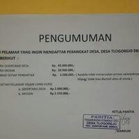 kursi-sekretaris-desa-tlogorejo-berbanderol-rp-45-juta-itu-pungli