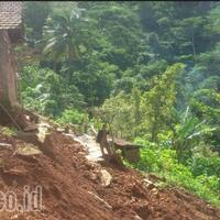 longsor-pacitan-rumah-muhola-dan-ratusan-pohon-cengkeh-roboh