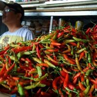 harga-cabai-rawit-kian-pedas-di-pasar-kramat-jati-rp-130-ribu-per-kg