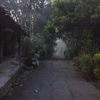 post-image