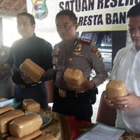 pemilik-23-paket-ganja-ayunkan-golok-ke-polisi-seketika-ambruk-kena-tembak