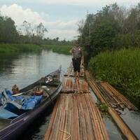 polisi-sita-60-kubik-kayu-dari-kawasan-hutan-suaka-margasatwa-kerumutan