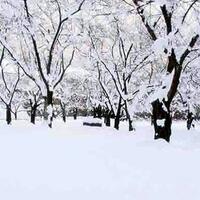 salju-tebal-akan-menghantam-jepang-12-februari