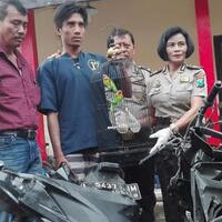 tertangkap-mencuri-mencuri-burung-motor-pemuda-ini-remek-dirusak-warga