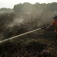 ada-14-titik-panas-terdeteksi-di-wilayah-sumatera