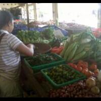 masyarakat-pulau-belakang-padang-terancam-kelaparan-ini-penyebabnya