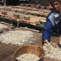 harga-ikan-asin-ikut-ikutan-naik