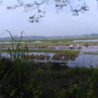 post-image