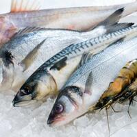 khasiat-tersembunyi-dari-kulit-dan-mata-ikan