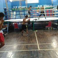 tinju-targetkan-dua-emas-di-sea-games-malaysia-2017