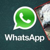 sudah-sewa-bus-dari-jakarta-bogor-rombongan-siswa-tertipu-broadcast-whatsapp