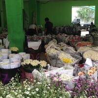 karena-pilkada-penjualan-bunga-di-pasar-rawa-belong-sepi