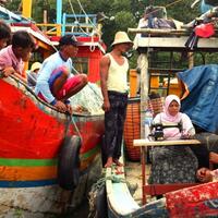 cuaca-buruk-jadi-berkah-nelayan-pekalongan-harga-ikan-tangkapan-langsung-melonjak