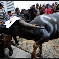 anas-urbaningrum-untuk-sby-karma-itu-nyata