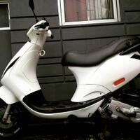 share-info-piaggio-zip