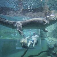 5-destinasi-wisata-yang-mengerikan-berenang-bersama-buaya-hingga-ke-kolam-setan