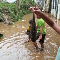 pascabanjir-anak-anak-di-kampung-arus-sibuk-mencari-ikan