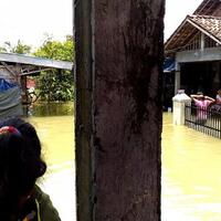 sempat-putus-asa-warga-korban-banjir-demak-makan-nasi-aking