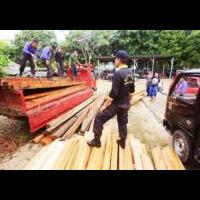 sulsel-daerah-rawan-pembalakan-dan-perambahan-hutan