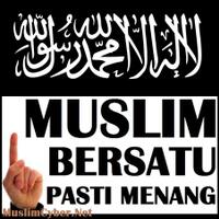 pan-alihkan-dukungan-ke-anies-sandi