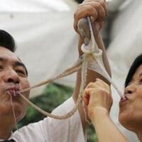 gatsuone-info-kenapa-orang-jepang-suka-makan-ikan-mentah-gan