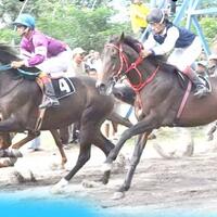 tensi-tinggi-di-tegal-waton-pada-pacuan-jateng-derby-minggu-ini