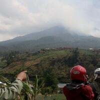 dua-wisata-alam-baru-di-gunung-lawu-omah-stroberi-dan-pinus-kita